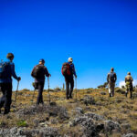 2025 Mountain Elgon Hiking Guide for Adventure Seekers