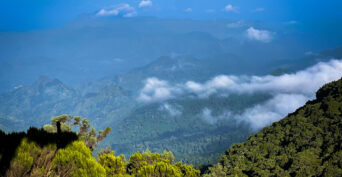 3-Day-Bushiyi-Summit-Trek01