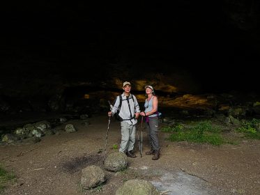 {{brizy_dc_image_alt entityId=